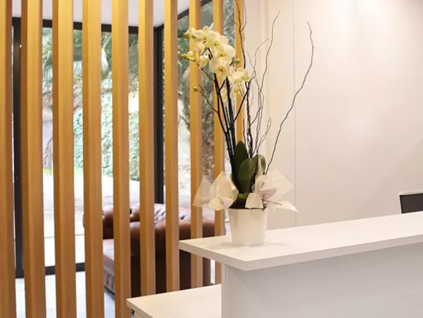 institut-del-pelo-recepcion